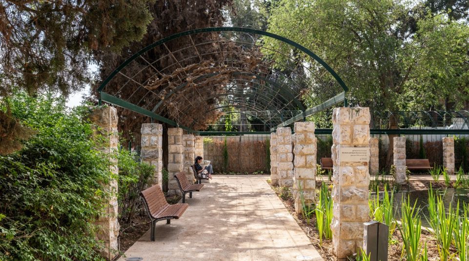 גן-השושנים_צלם-יואב-פלד-4-1