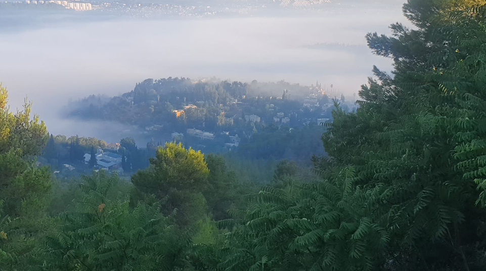 הליכה-אל-המחר_צילום-פנינה-עין-מור-3