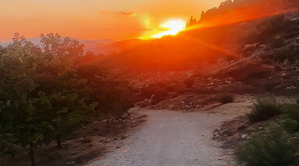 הליכה-אל-המחר_צילום-פנינה-עין-מור-4