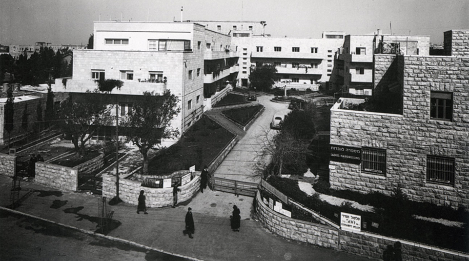 רחביה-של-אלי-עמיר_ויקיפדיה-1