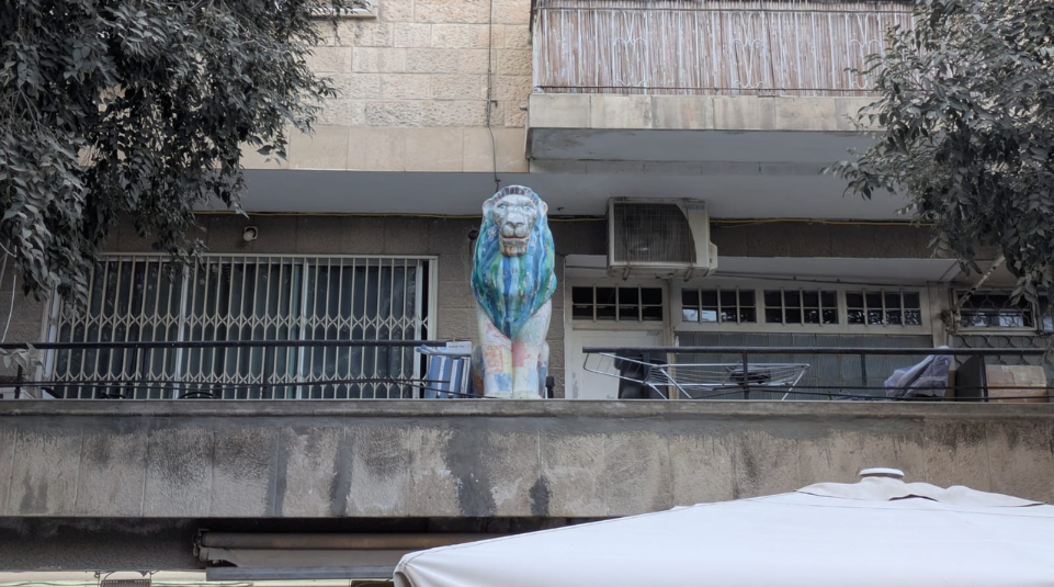 אריות-ירושלמיים_צלם-אייל-ויינשטיין-1