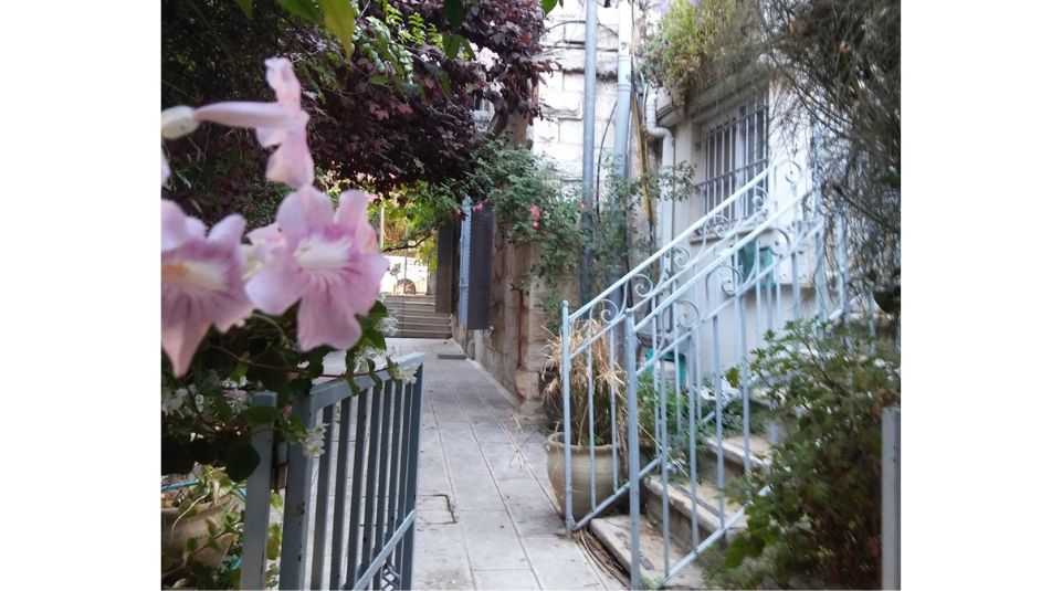 בקעה-נאווה-החלק-הדרומי-באדיבות-אפרת-אסף-4