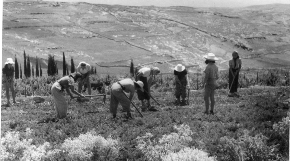 חות-העלמות_מארכיון-ישראל-נגלית-לעין-של-יד-יצחק-בן-צבי-5