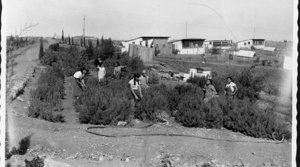 חות-העלמות_מארכיון-ישראל-נגלית-לעין-של-יד-יצחק-בן-צבי-6