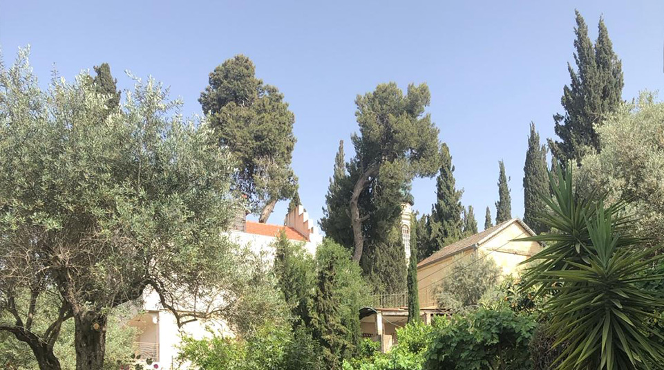 כנסיית-הביקור-בעין-כרם_צילום-שרון-רגב-5