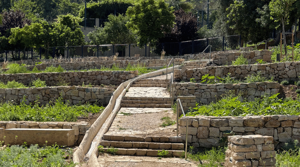 צילום-אביאל-ארגמן-1