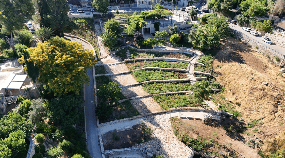 תמונת-רחפן-מ.בראשי-תשתיות-1